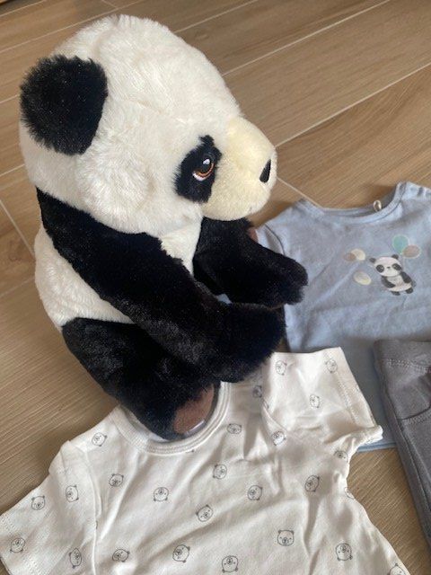 Lotti & Set di vestiti: neues Baby Set Gr. 62 "Panda hellblau" – Nuovo (secondo la descrizione) da Staufen venduto da Nasli 4