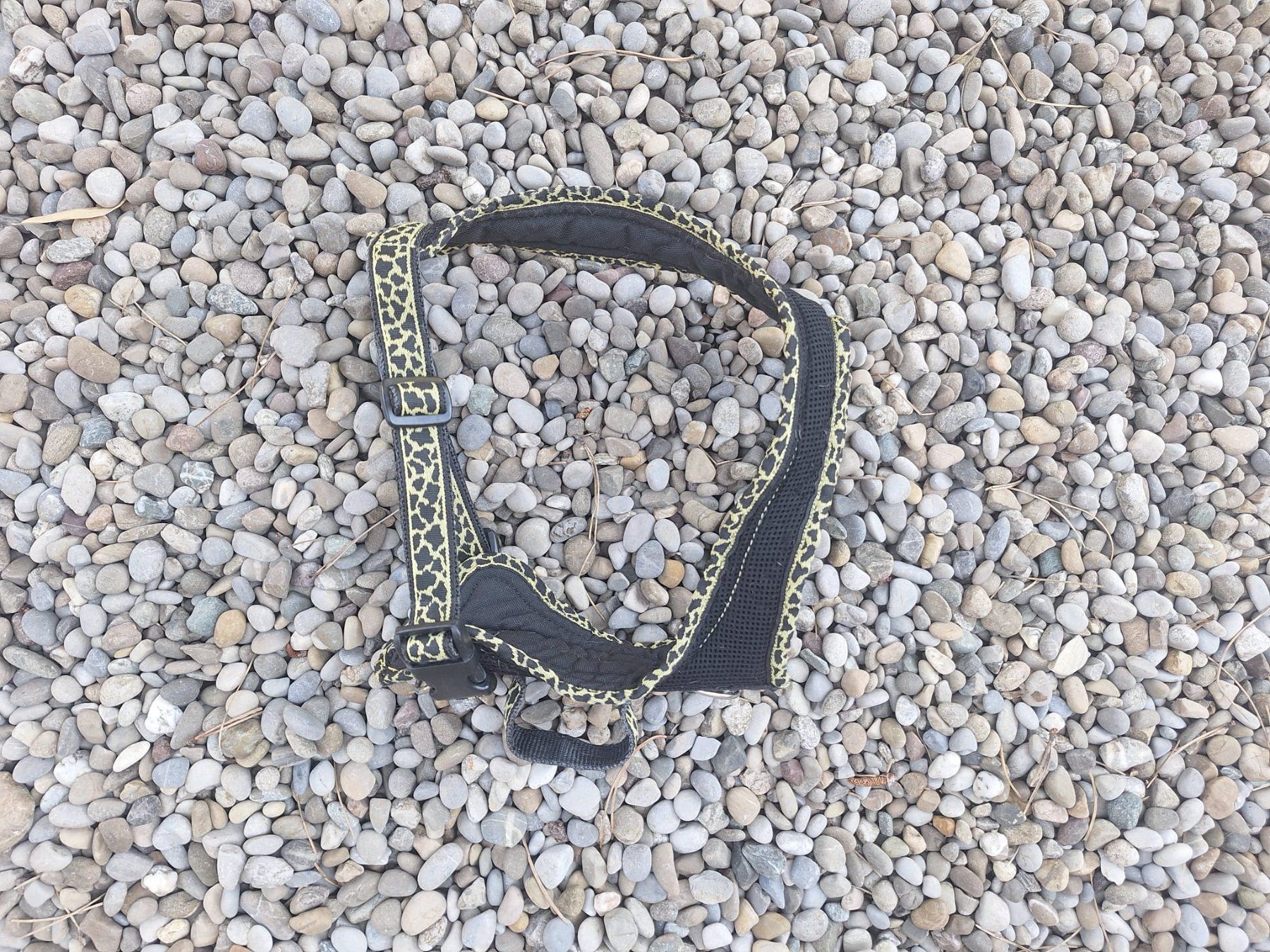 Grossenbacher Leine & Halsband: Grossenbacher Hundegeschirr "S" Leopard-Look – Gebraucht aus Forch von merlotpomerol 1