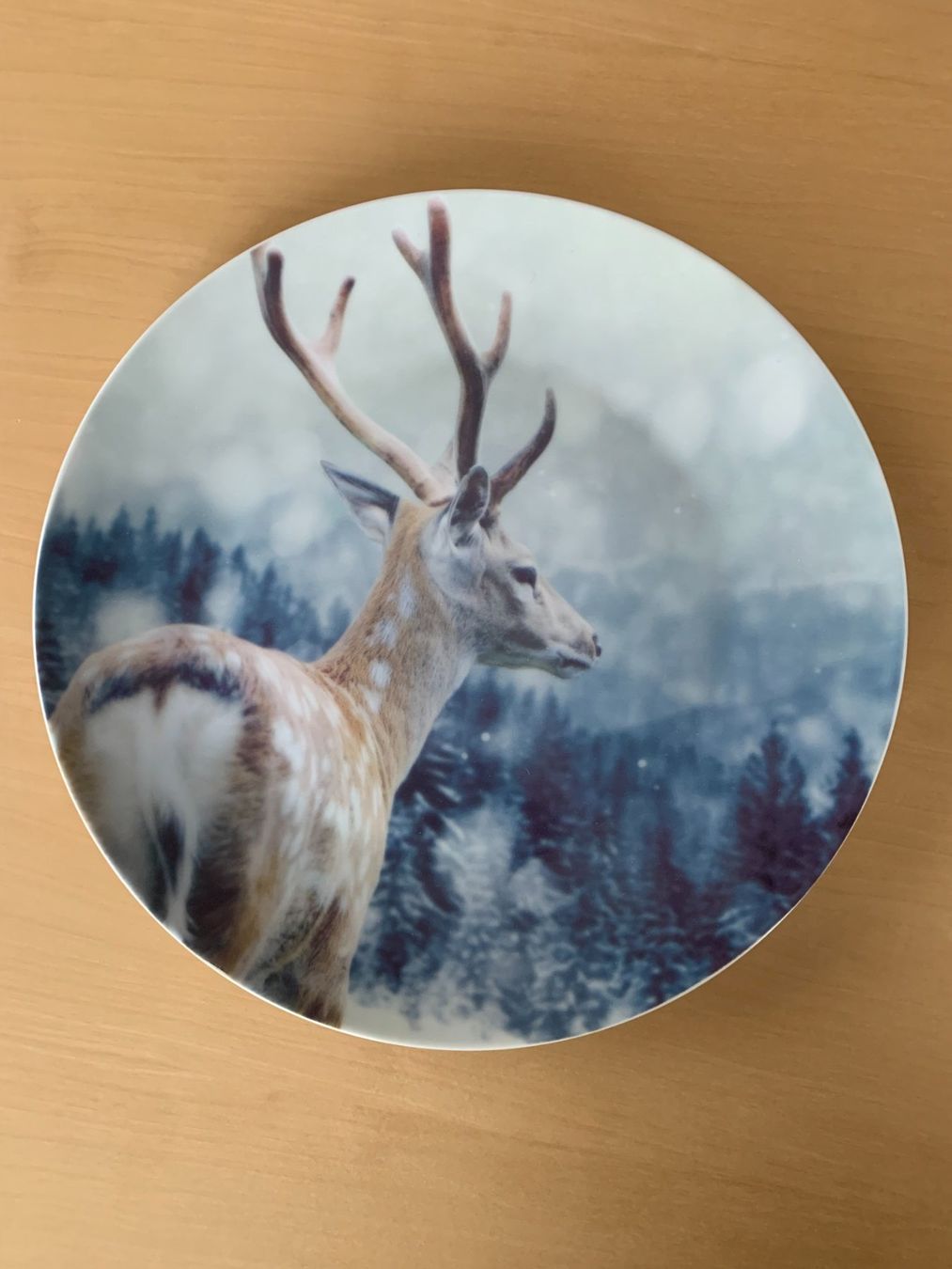 Assiettes: Teller/Essteller – Neuf avec emballage d'origine à Galgenen par Waldliesel