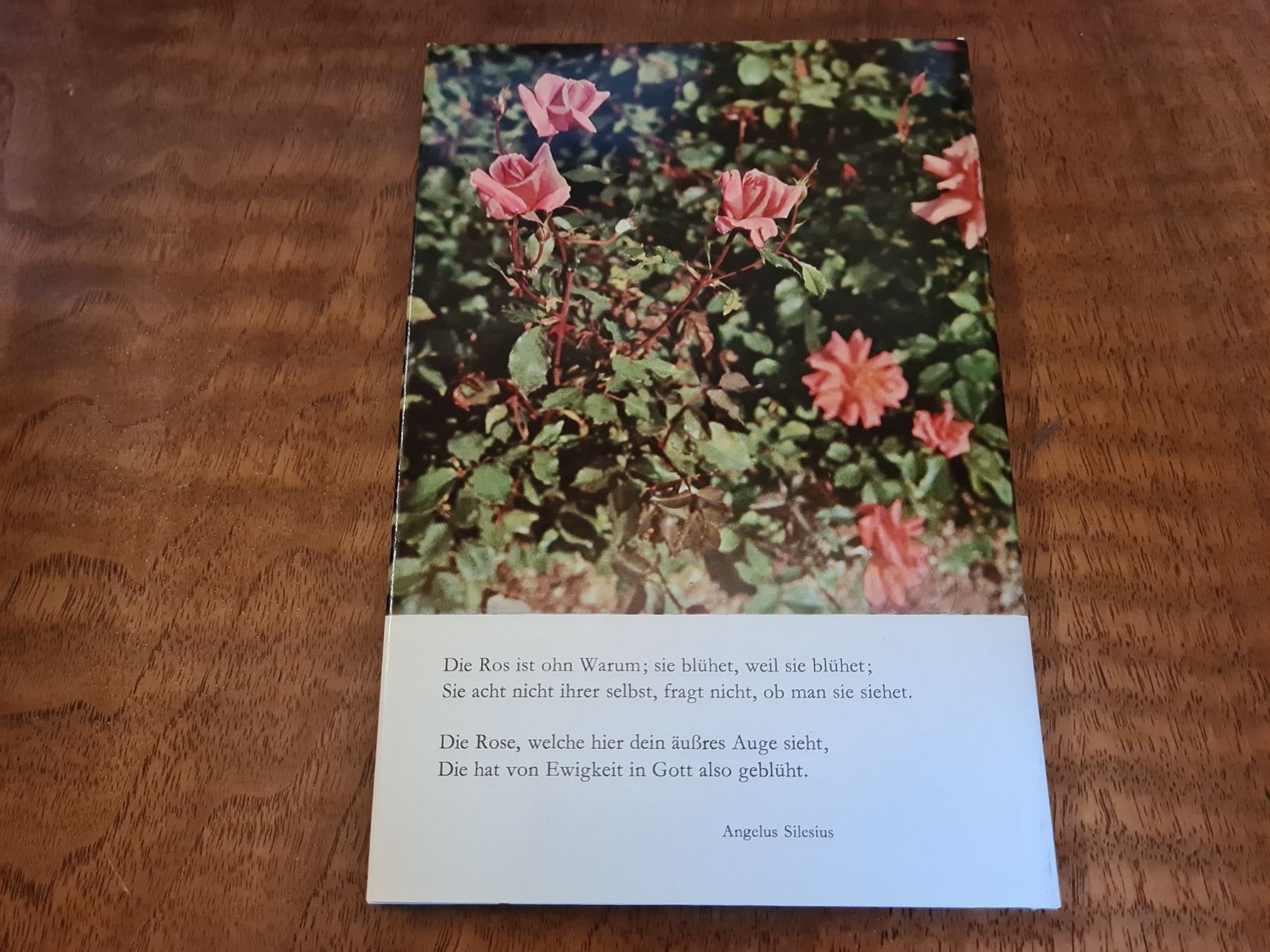 Libri: Rosen – Usato da Erstfeld venduto da Uhu1980 3