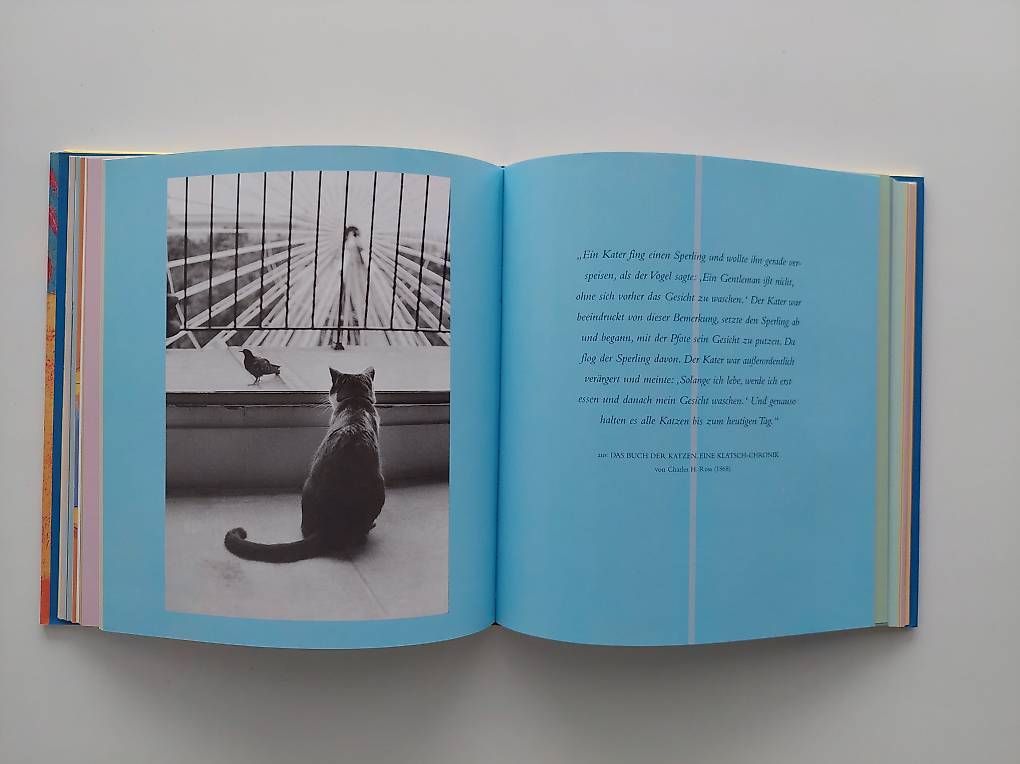 Livres: 99 Katzenleben – D'occasion à Balm b. Günsberg par rob_smj8 3