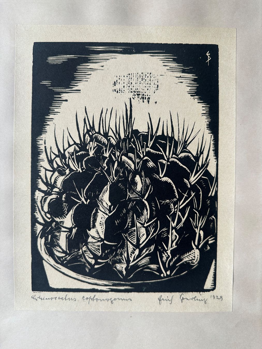 Xilografie: signierter Holzschnitt von 1929 – Usato da Zürich venduto da frauflufelberg 5