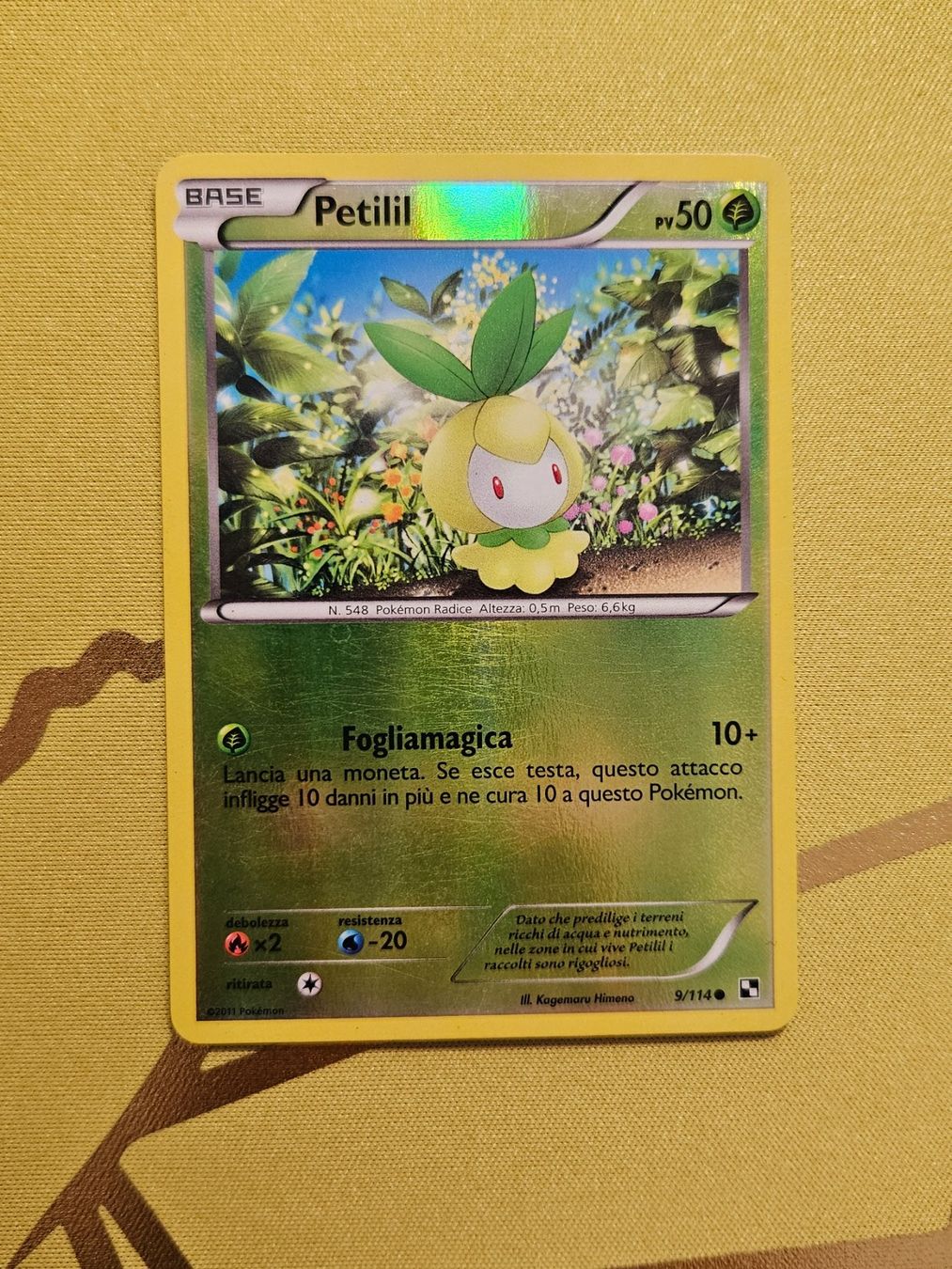 Pokémon Carte collezionabili: Black and White - Petilil – Usato da Bellinzona venduto da Pokemarco