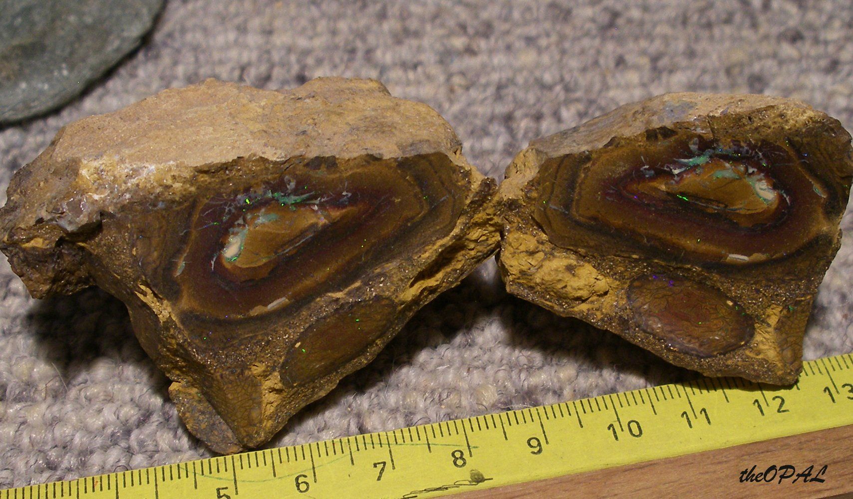 Minerali & Pietre curative: theOPAL*** ROHER BOULDER MATRIX NUSS OPAL SPLIT 750ct *** – Nuovo e nell'imballaggio originale da Ebnat-Kappel venduto da theOPAL 1