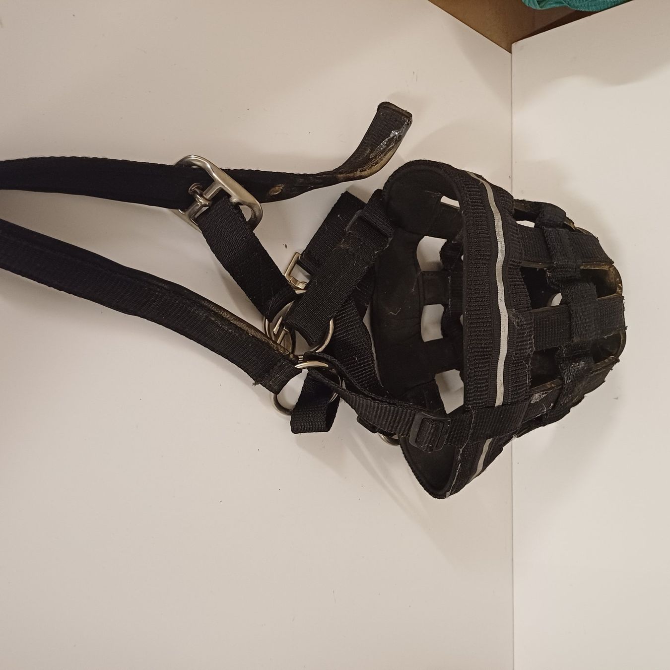 Brides, licols: Panier PONY, noir, occasion – D'occasion à Villeneuve VD par vog_yc5s 1