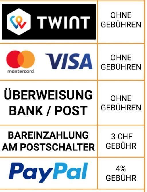 Tutte le macchine: Formatkreissäge 315 – Nuovo e nell'imballaggio originale da Andwil TG venduto da Vr-shopswiss 6