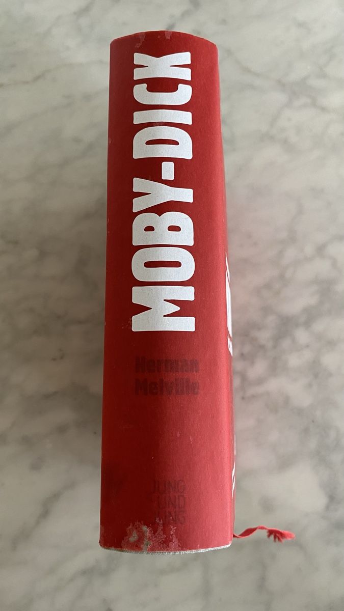 Bücher: Moby-Dick - Illustrierte Ausgabe, Herman Melville – Gebraucht aus Glattpark (Opfikon) von anywaya23 1