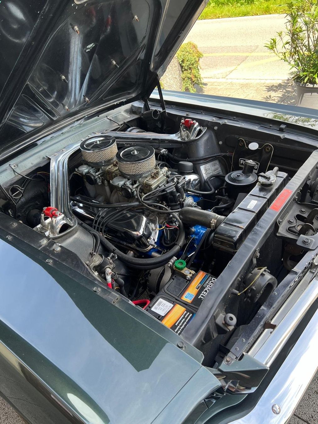 Ford Automobili: 1965 FORD Mustang Fastback 4.7 V8 – Usato da Büetigen venduto da Mo_driver99 6