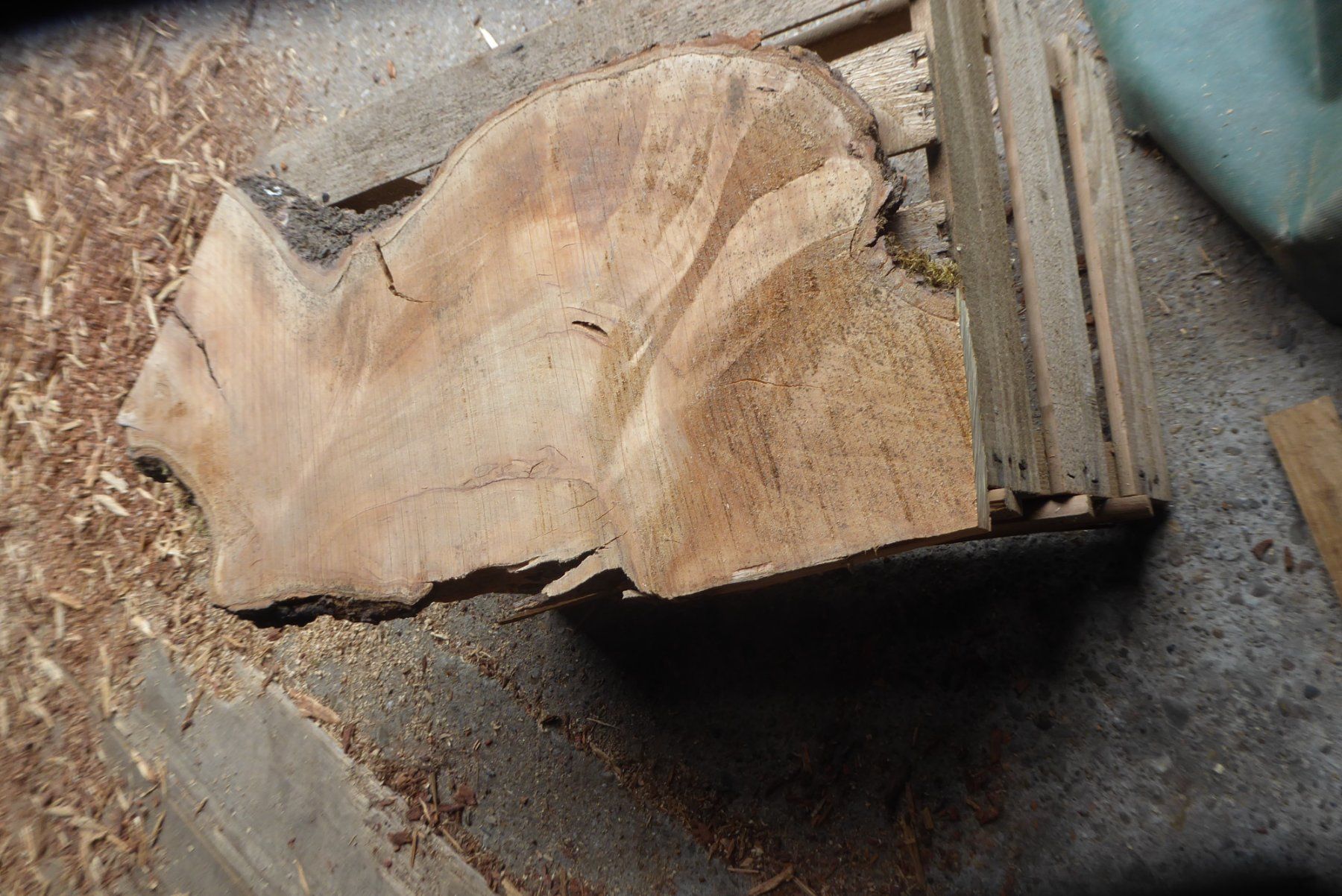 Holzartikel: Kirschbaumbrett – Neu (gemäss Beschreibung) aus Sumiswald von Hennri1