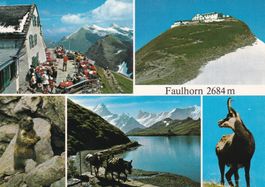 Faulhorn Berghotel  Multivues