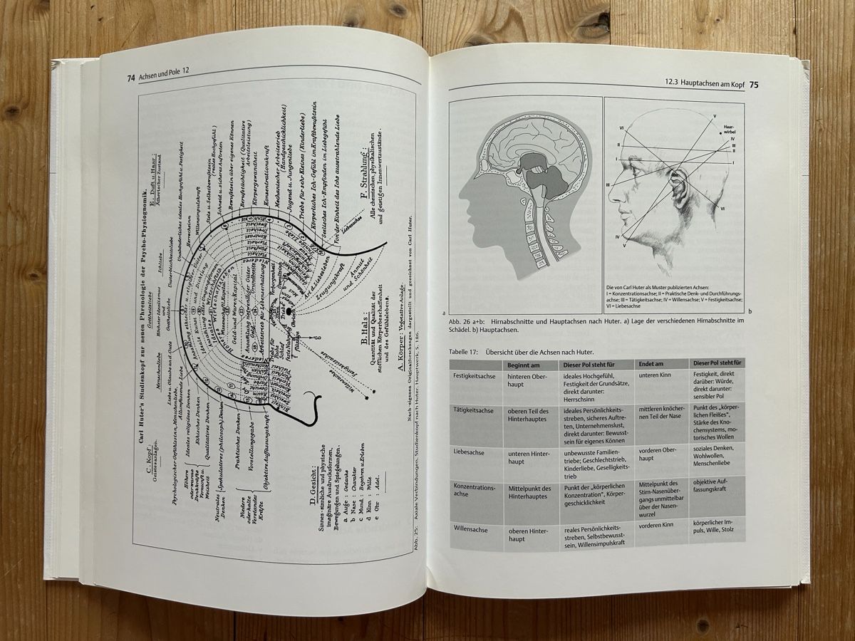 Libri: Lehrbuch der Psycho-Physiognomik, Antlitzdiagnostik – Usato da Himmelried venduto da rasmus67 6