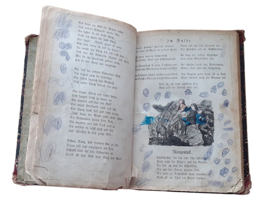 Libri: J. Staub Kinderbuch 1880 – Usato da Mörschwil venduto da lindaswunderkiste 7