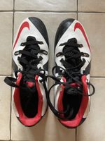 Nike LeBron Ambassador VI, taille EU 42, bon état