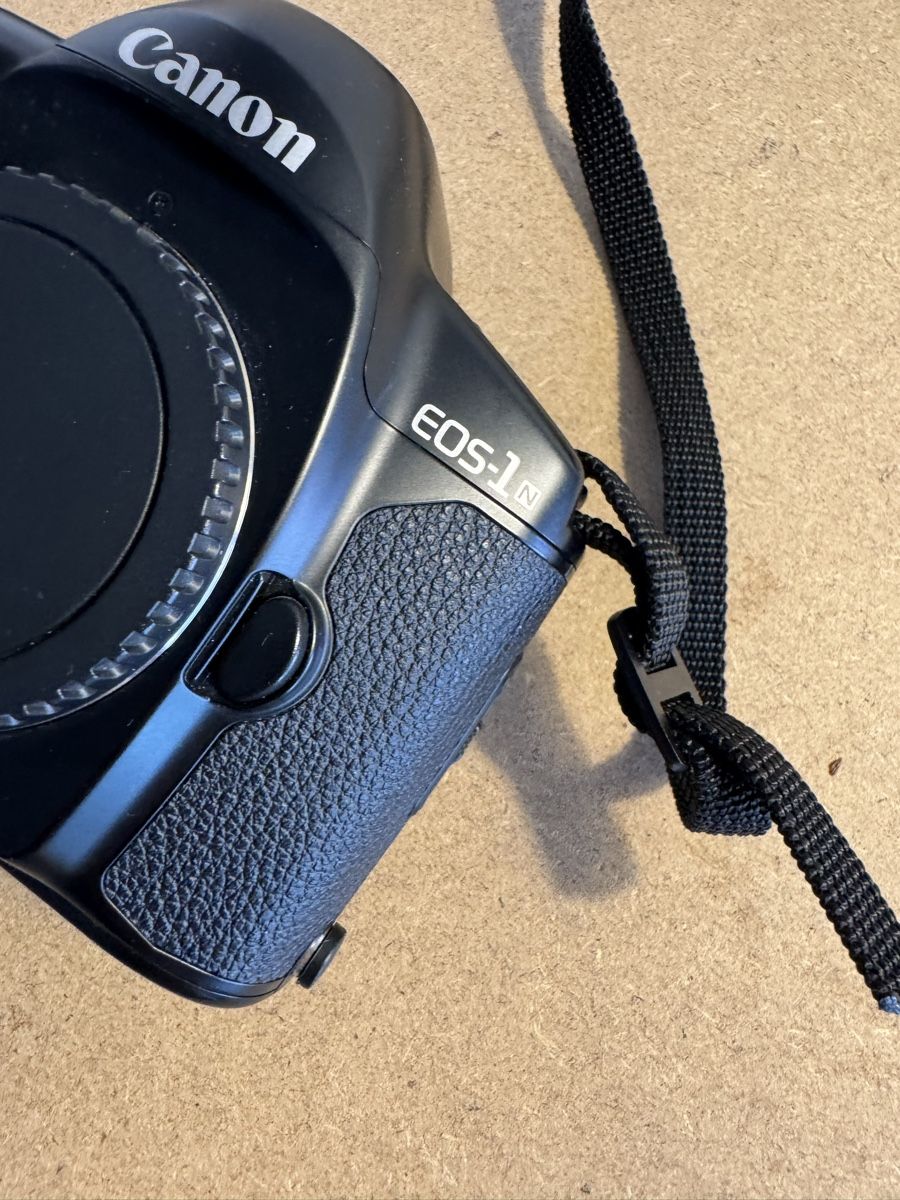 Canon Fotocamera: Canon EOS 1N – Usato da Zürich venduto da mat_rw96 1
