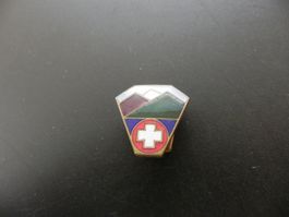 Altes Email Abzeichen Schweizer Berge