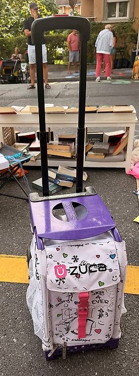 Züca Koffer & Taschen: ZÜCA Chariot Patinage – Gebraucht aus Lausanne von aho_rwh2