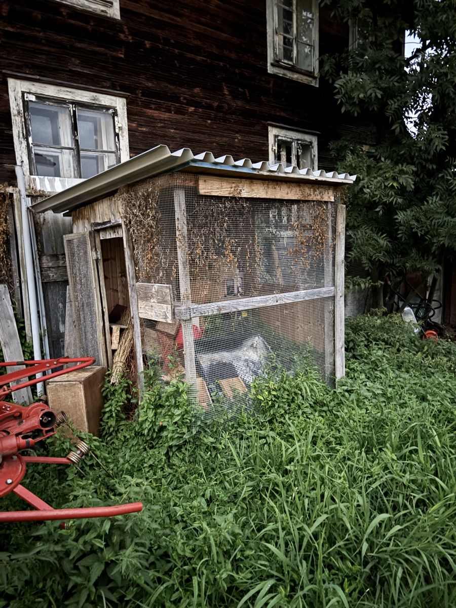 Petites maisons à oiseaux: Altes vogelhaus mit material  – D'occasion à Gunzwil par sil_g7xg
