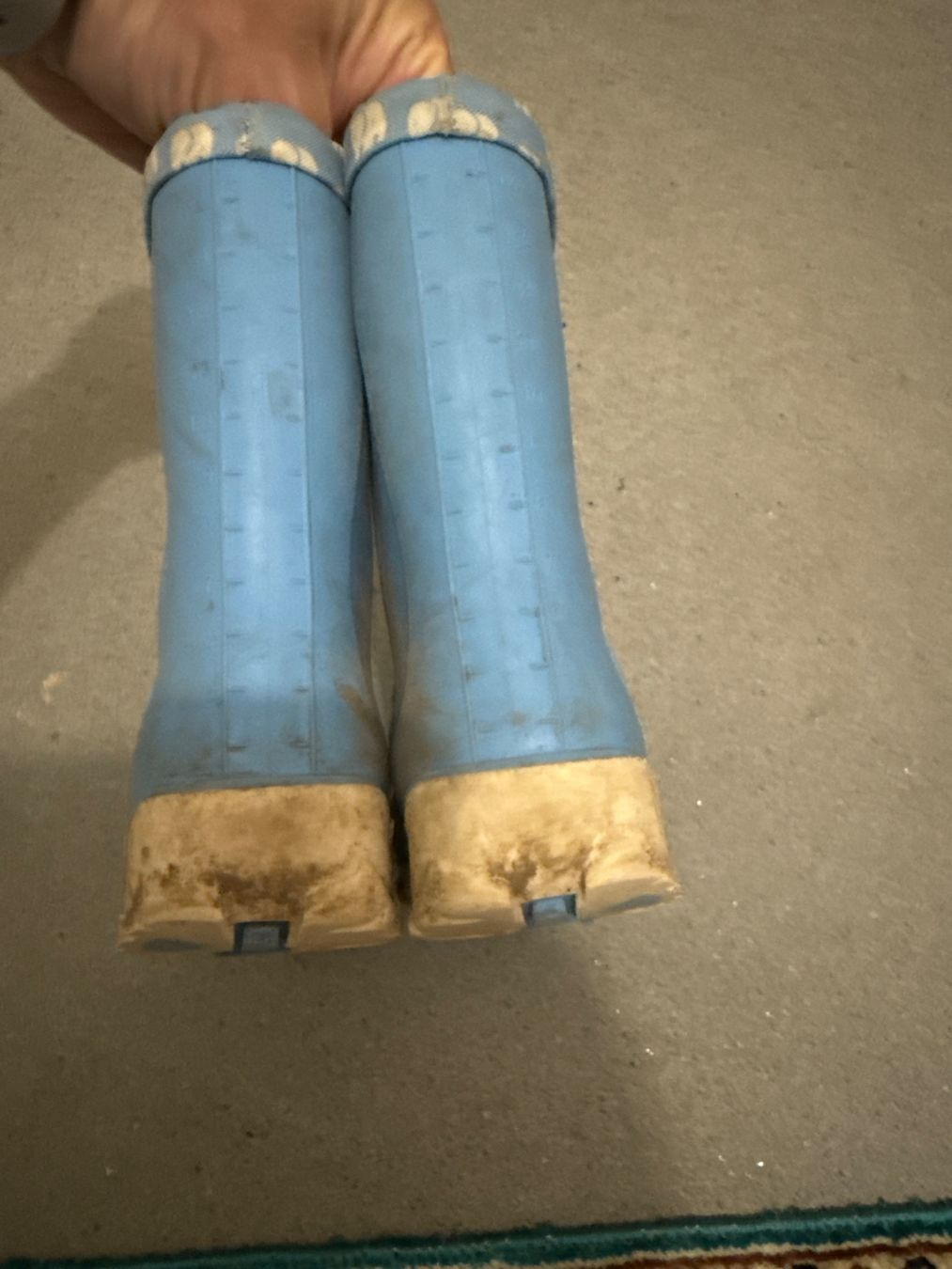 Elefanten Scarpe per ragazzi: Elefanten Kinder-Regenstiefel, hellblau, Größe 23 – Usato da Horw venduto da Edith1981 3