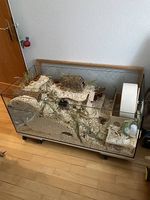 Hamsterkäfig mit div. Zubehör