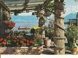 Genève 1983
