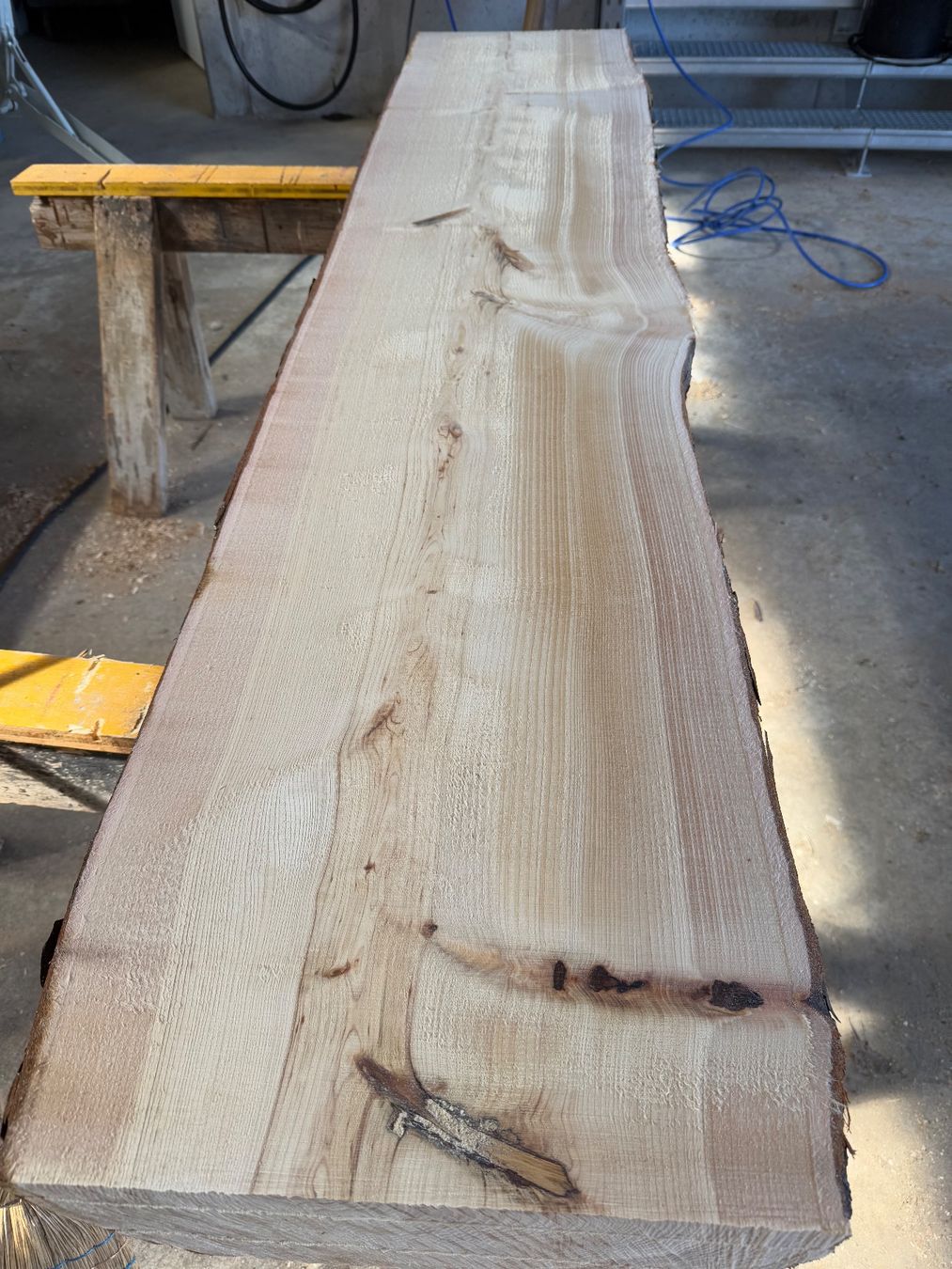 Articoli in legno: Thuja klotzbretter ganzer Stamm – Usato da Holziken venduto da Timbergrizzly 3