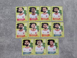 Panini WM 2026- Jordanien