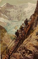 GRINDELWALD  -  Viescherhörner  -  1911