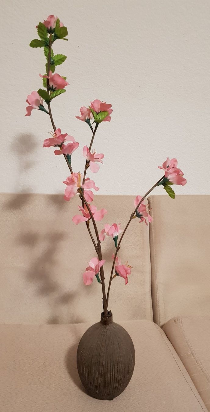 Vasi & Recipienti: Vase in Form einer Kokosnuss mit Kunstblumen – Usato da Killwangen venduto da Marc-Antonio 2