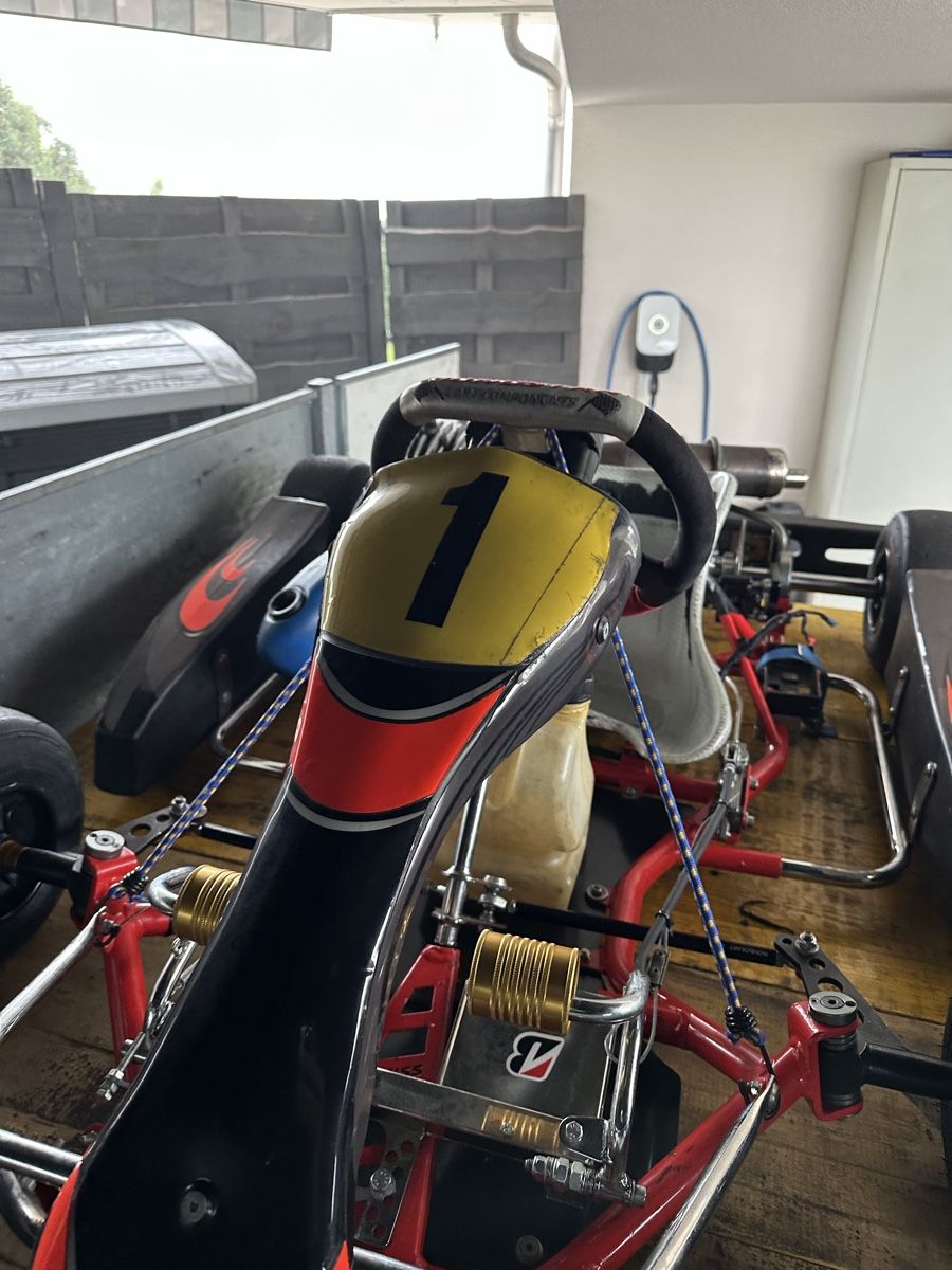 Go-Kart: Rennkart – Usato da Waltenschwil venduto da Almilu