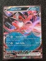 Perfect Order / Yveltal ex 053/088 EN