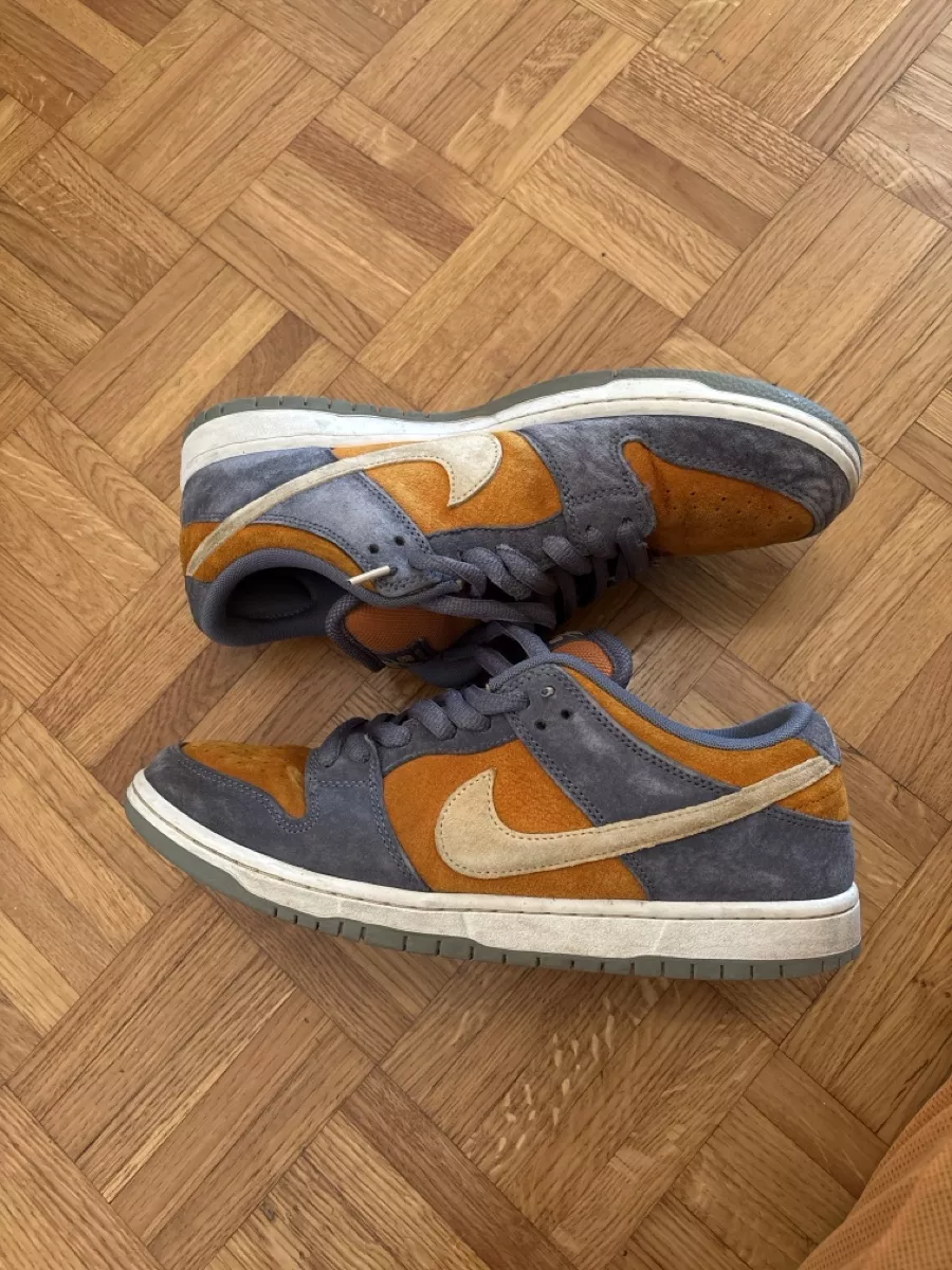 Nike Herrenschuhe: Nike sb dunk low pro – Gebraucht aus Lausanne von emm_6wfv 1