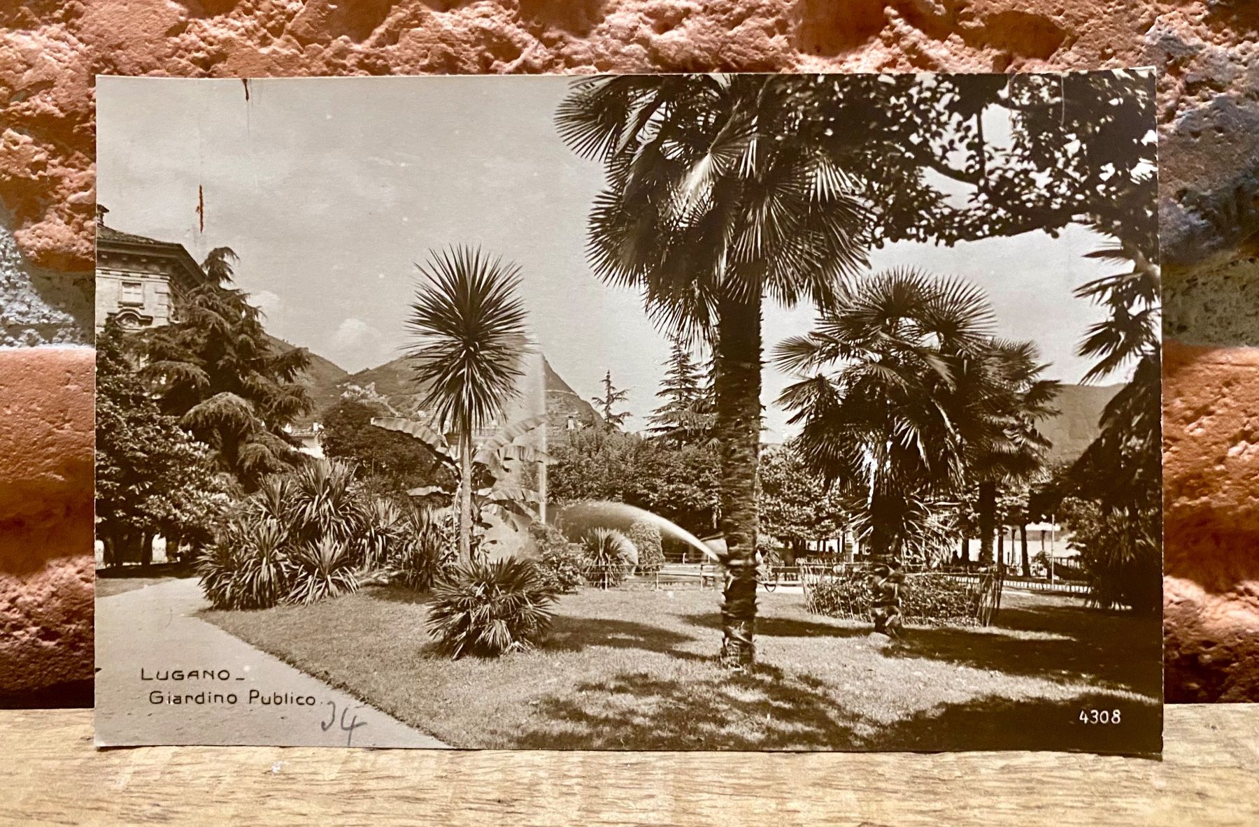 Cartoline postali: Lugano - Giardino Publico - Park – Usato da Root venduto da ENGLAND-TREASURES
