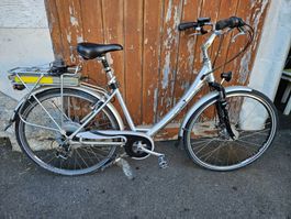 E-Bike Flying Cranes silber