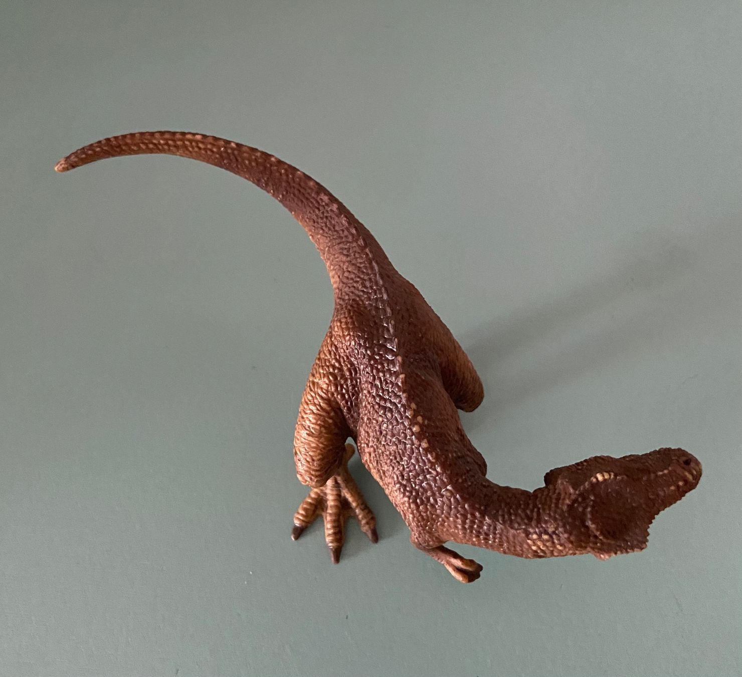 Schleich Giocattoli: SCHLEICH Figurine T-Rex brun – Nuovo (secondo la descrizione) da Genève venduto da kik_8jd6 1