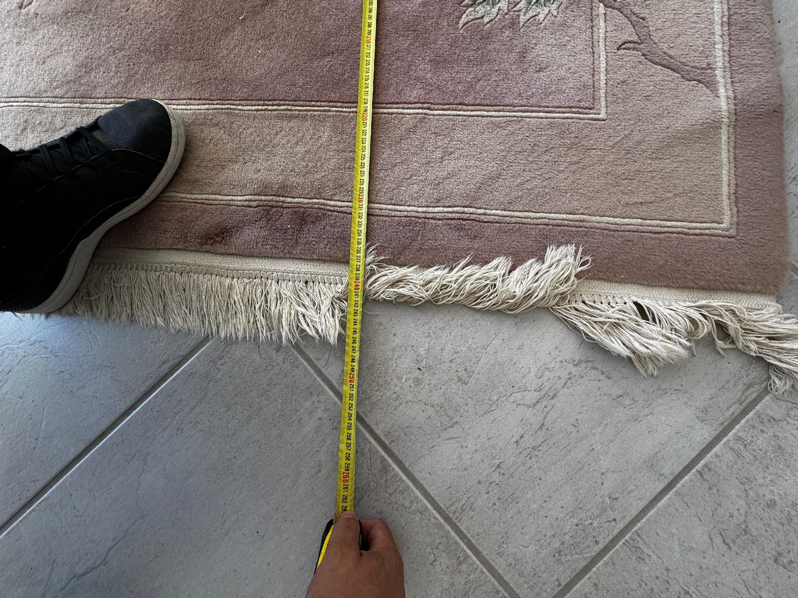 Tappeti: Chinesischer Orientteppich 170x245cm – Usato da Schlieren venduto da Eldi84 3