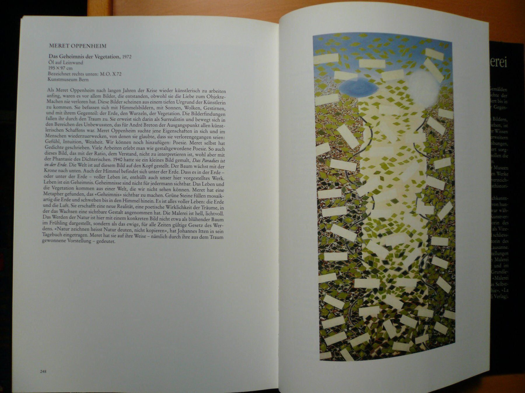 Libri: Kunst - Schweizer Malerei – Nuovo (secondo la descrizione) da Brunnadern venduto da lesezirkel 6