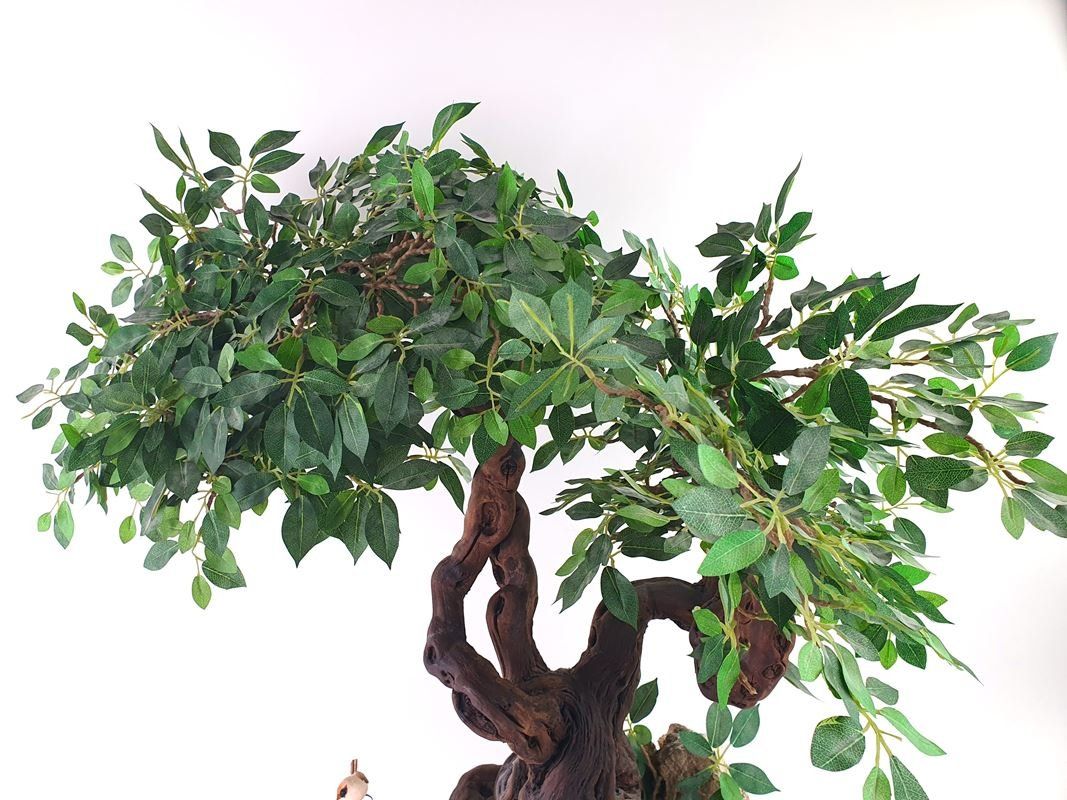 BONSAI Plastikbaum (Gebraucht) in Wangen b. Olten fr CHF 40  mit  Lieferung auf Ricardo kaufen