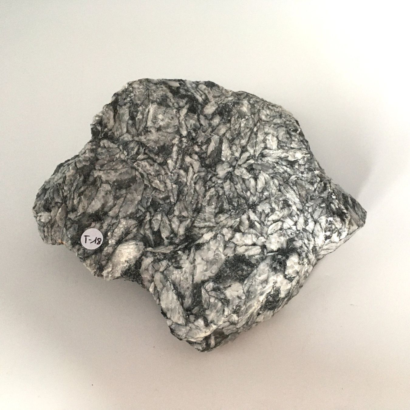 Minerali & Pietre curative: Pinolith - Rohstein - Naturbelassen – Nuovo (secondo la descrizione) da Samstagern venduto da Spliti