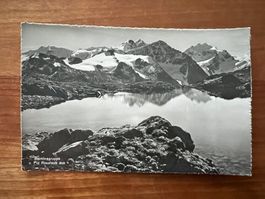 AK  Berninagruppe ungelaufen   (G2101)