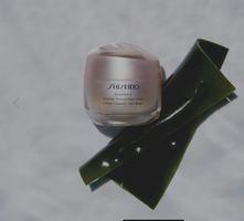 Shiseido Benefiance Wrinkle Smoothing Cream 50ml Anti Age Ne