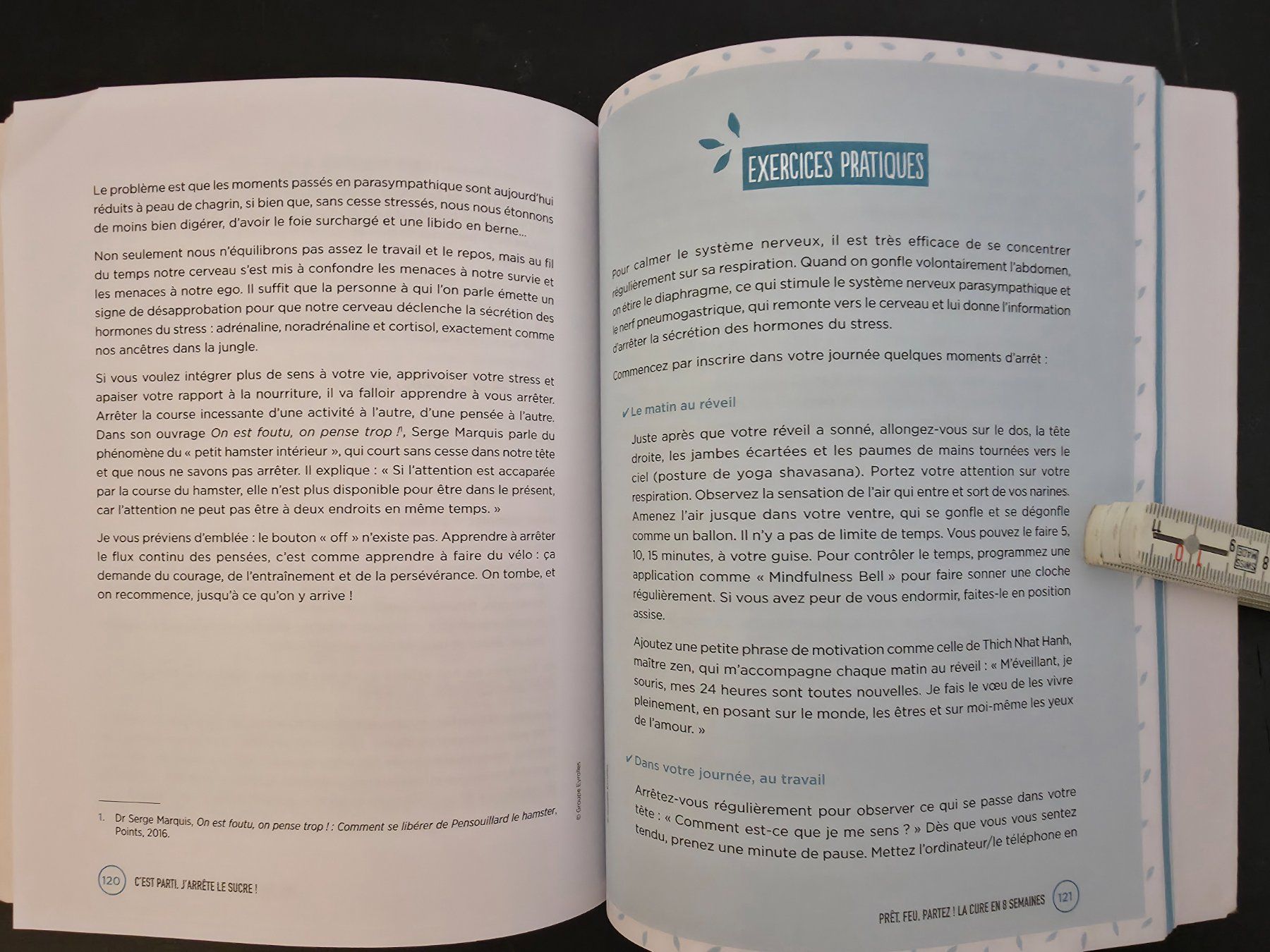 Libri: Je Me Libère Du Sucre Mon Programme Naturopathique En 8 Sema – Usato da Montreux venduto da Edelweissgirl_64 2