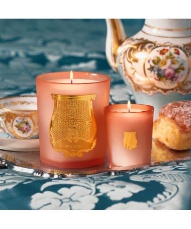 Candele: Verre de bougie Trudon édition limitée – Usato da Lausanne venduto da Gabrie 6