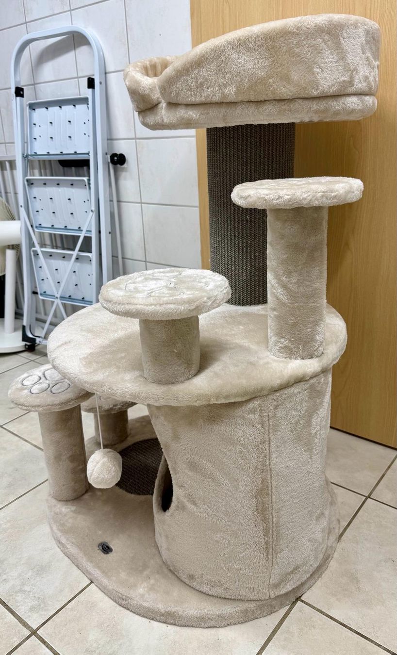 Tiragraffi: Emil Trixie Kratzbaum, Beige, neuwertig – Usato da Mumpf venduto da Seliina96 2