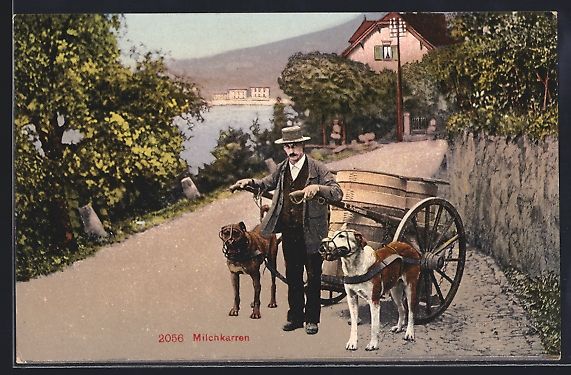 Cartoline postali: Luzern, Milchhändler mit Karren, Hunde  – Usato da Berlin venduto da bartko-reher