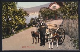 Luzern, Milchhändler mit Karren, Hunde 
