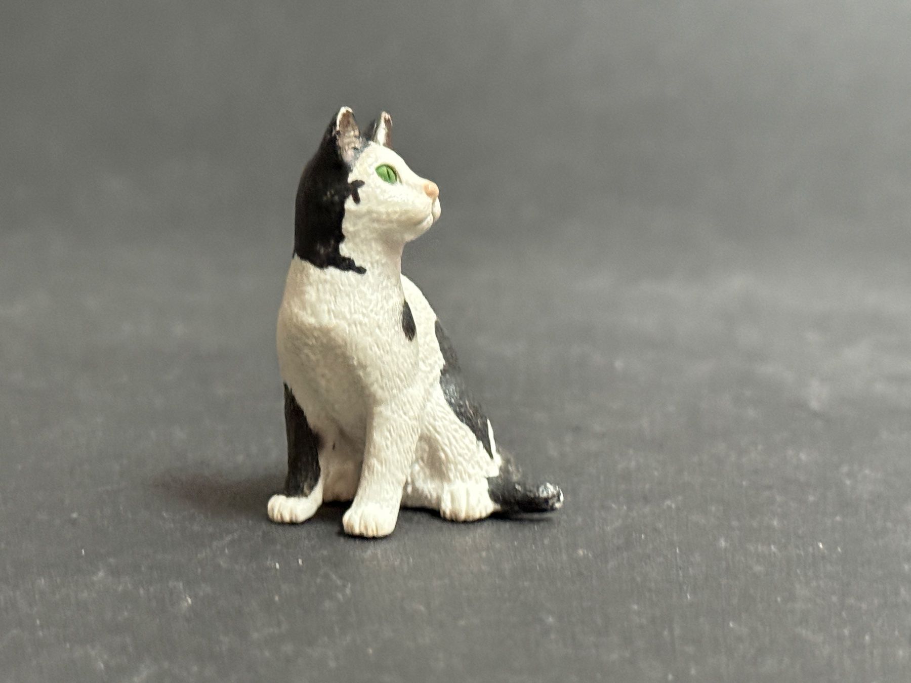 Schleich Statuette: Schleich 13637 Katze, sitzend – Usato da Ennetbaden venduto da mapa05 4