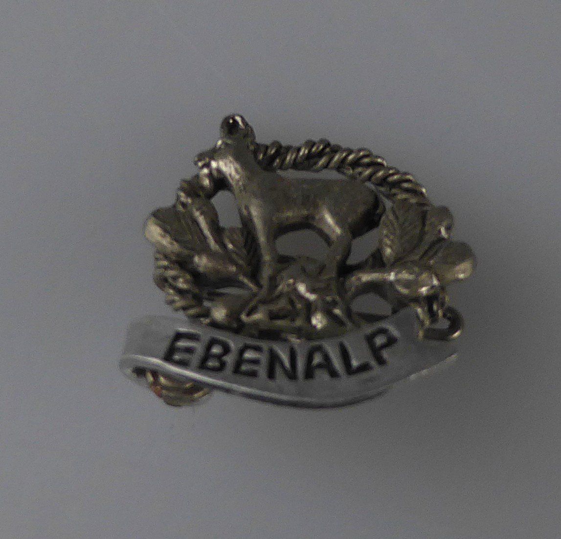 Placchette & Badge: Schweizer Pins Sammlung ( 10 Stk.) – Usato da Volketswil venduto da brockipfannenstil 1