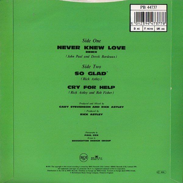 Dischi in vinile: Astley Rick: Never Knew Love 7" – Usato da Steinhausen venduto da Vilivinili 1