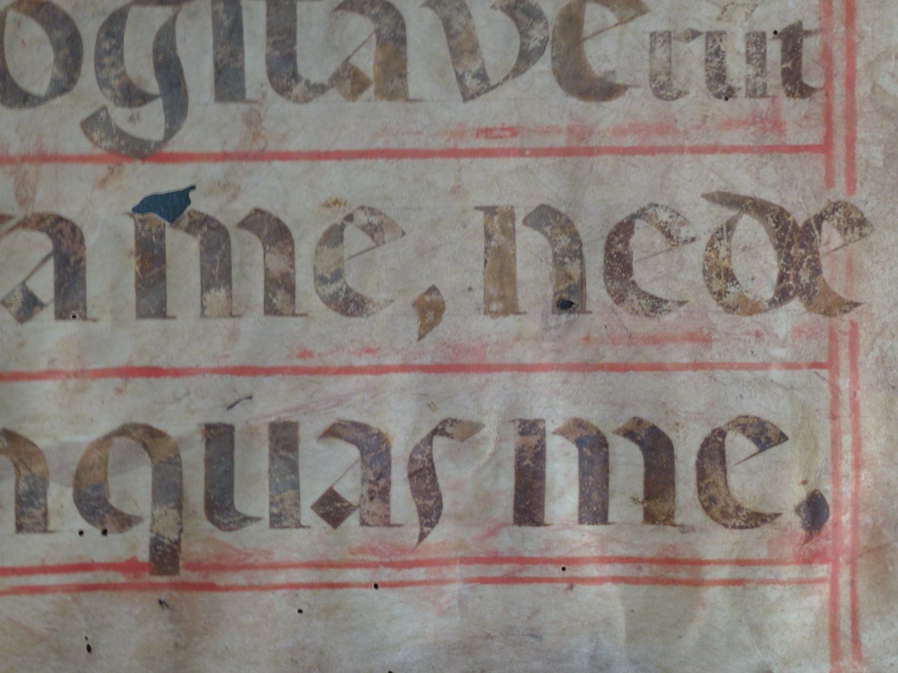 Dipinti: Gotik Manuskript Pergament / Psalm:140 – Usato da Esslingen venduto da eintagammeer 3