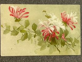 1919 Künstler-Postkarte E. VOUGA Geißblatt 🌺 POSTGESCHICHTE